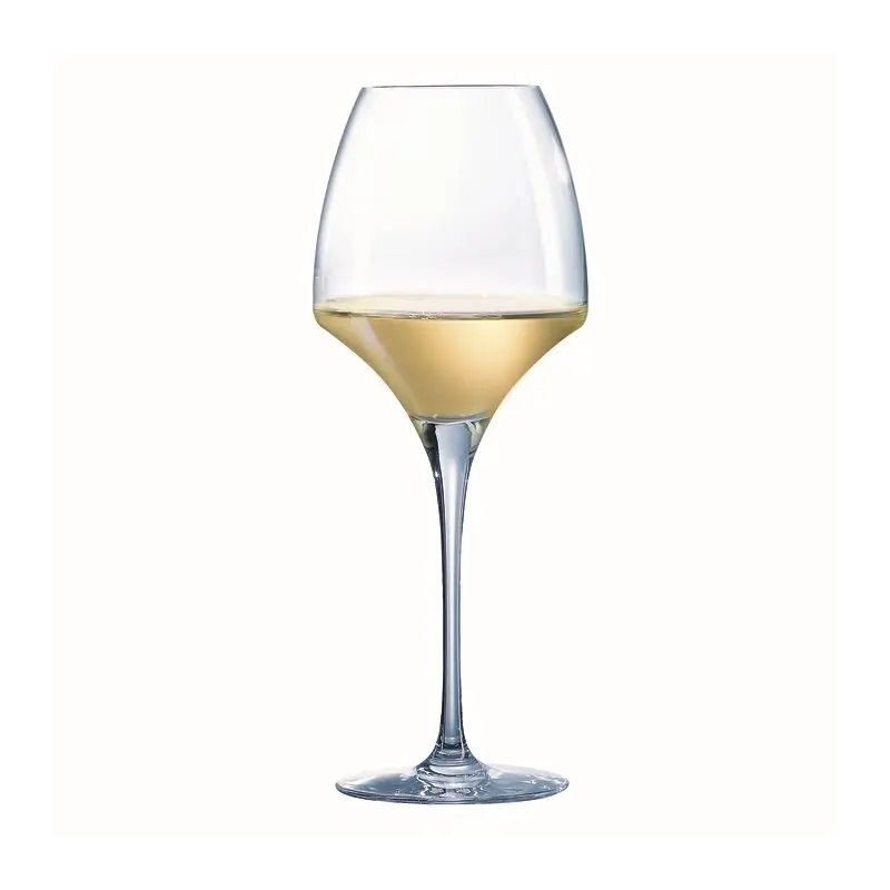 Aktuell Open Up Universal Tasting Weinkelch 40 cl