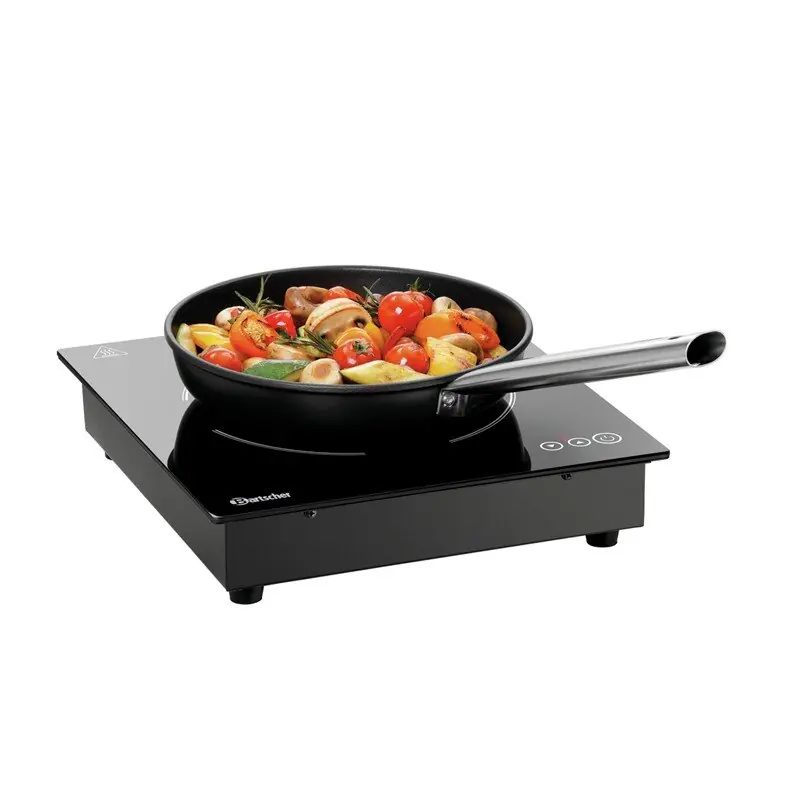 Einbau-Induktionskocher 201TC Super-Preis