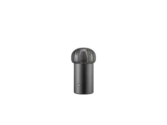 Iris Mobile LED Tischleuchte Gun Metal - Blomus Jetzt Kaufen