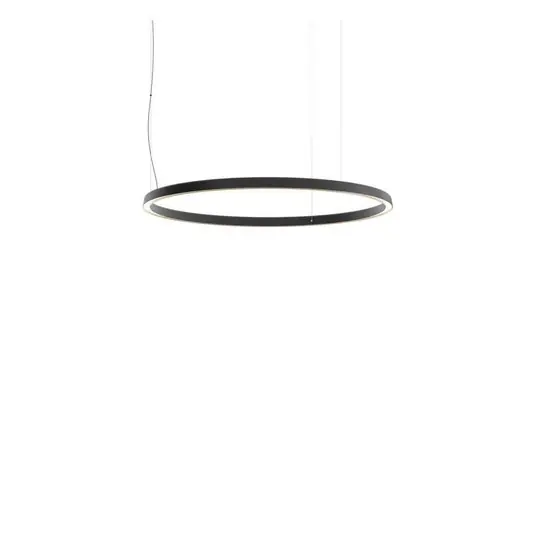 Compendium Circle LED Pendelleuchte Ø110 Black - Luceplan Nur Heute