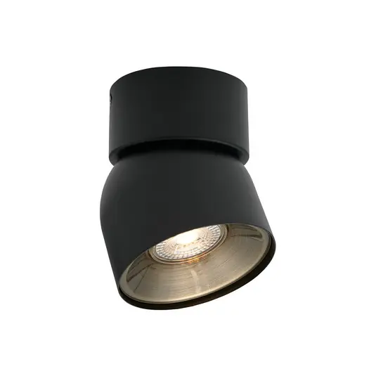 Pitcher Downlight, schwarz/messing, 1-flg, Metall - Nordlux Sale