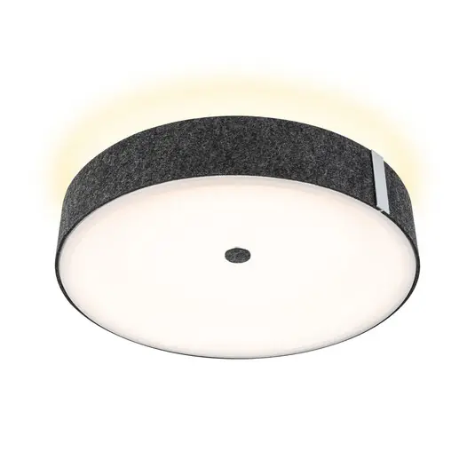 Malika LED Deckenleuchte 3-Step-Dim Anthrazit - Paulmann Kracherpreis