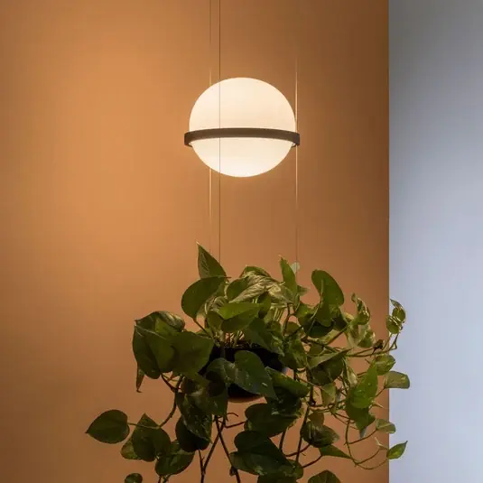 Palma 3724 Hängelampe, Pflanzschale, graphit - Vibia Knallerangebot