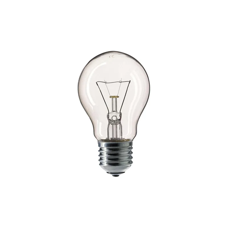 Philips Incandescent Standard 100W E27 230V A55 Must-Have