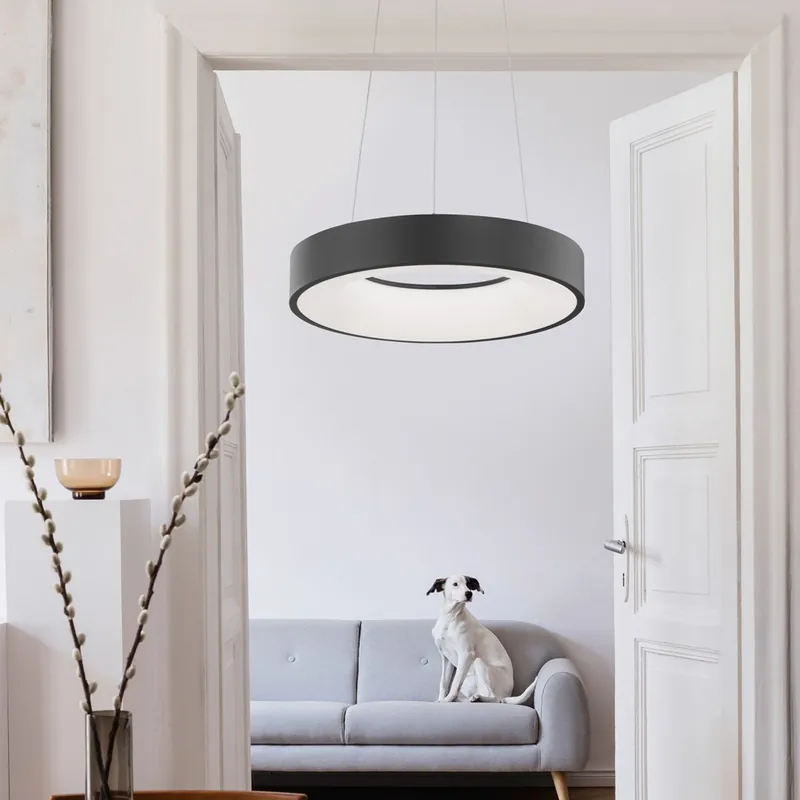 Saisonangebot Nova Luce 9453431 RANDO THIN LED Pendelleuchte 38cm 3000K Schwarz dimmbar