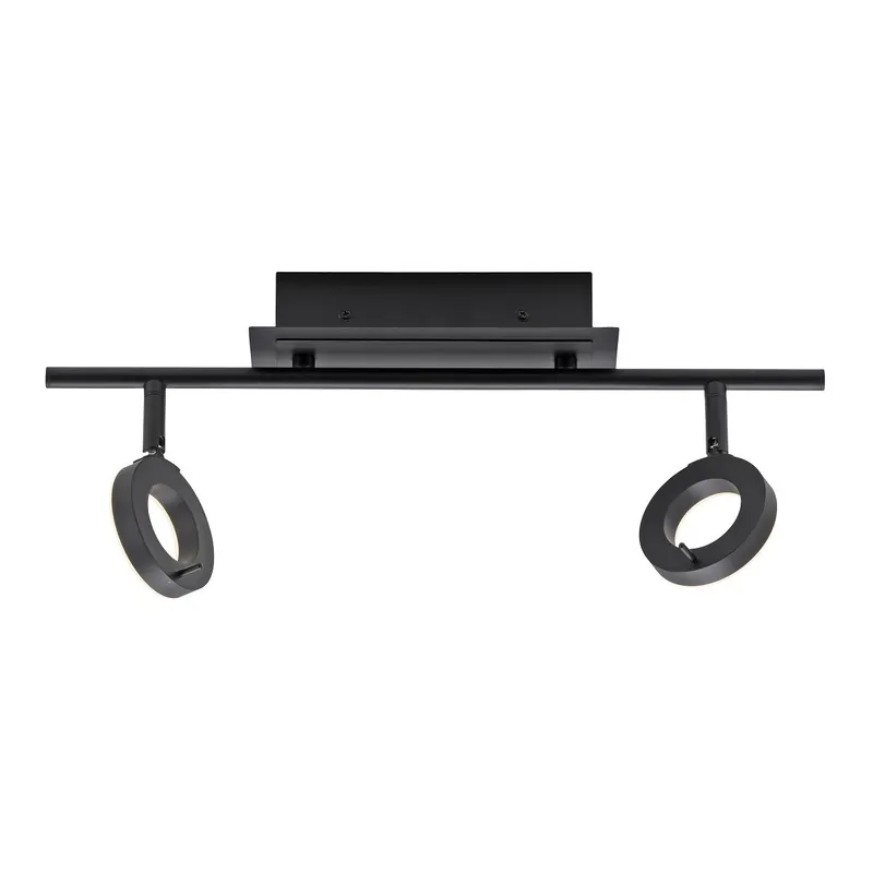 Paul Neuhaus 6781-13 SILEDA LED Deckenleuchte 2-flammig Anthrazit Bestpreis